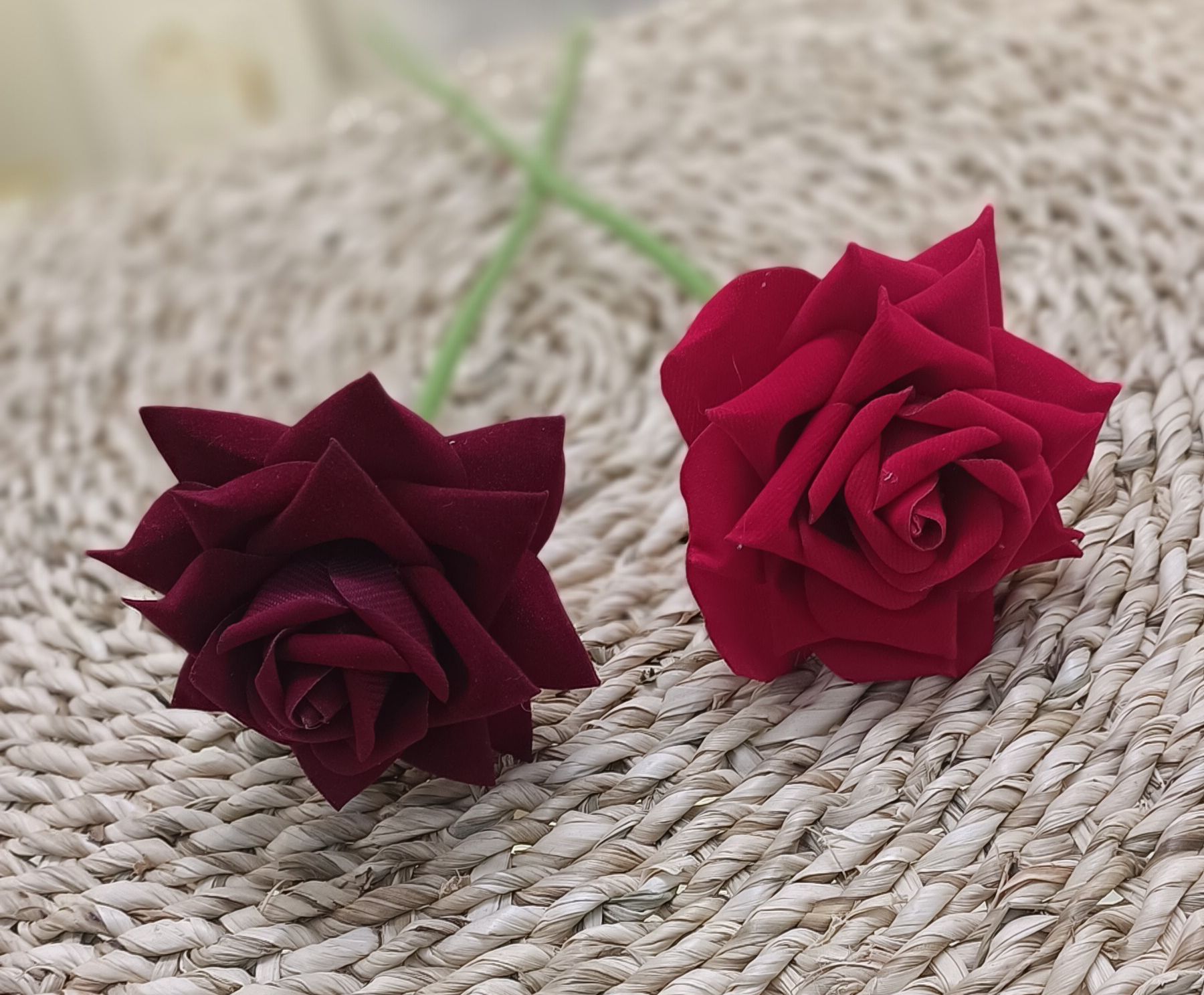 گل رز چیچک با ساقه 50 سانتی دارای شلنگی در دو رنگ قرمز و زرشکی